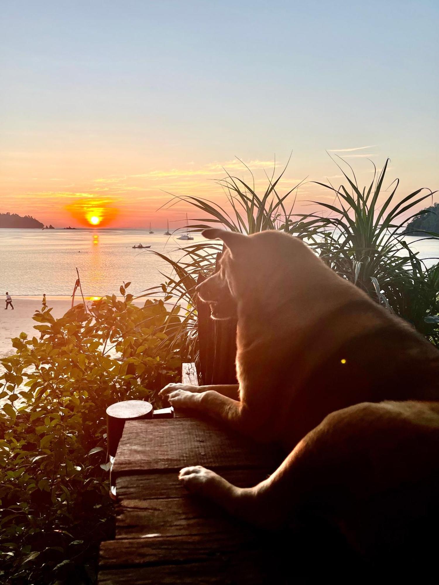 Starlight Beach Resort 코 파얌 외부 사진